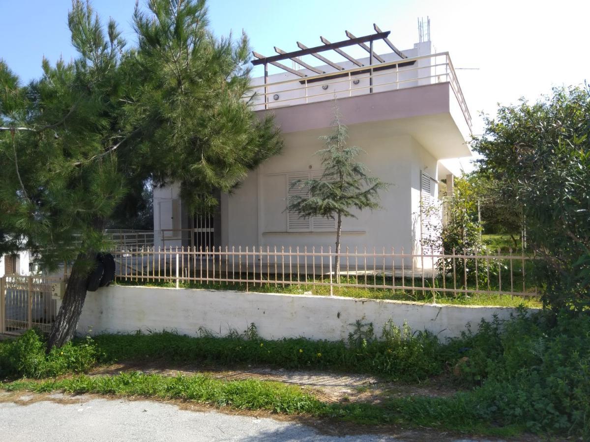 Thanasis Villa Kounoupidhianá Exteriér fotografie